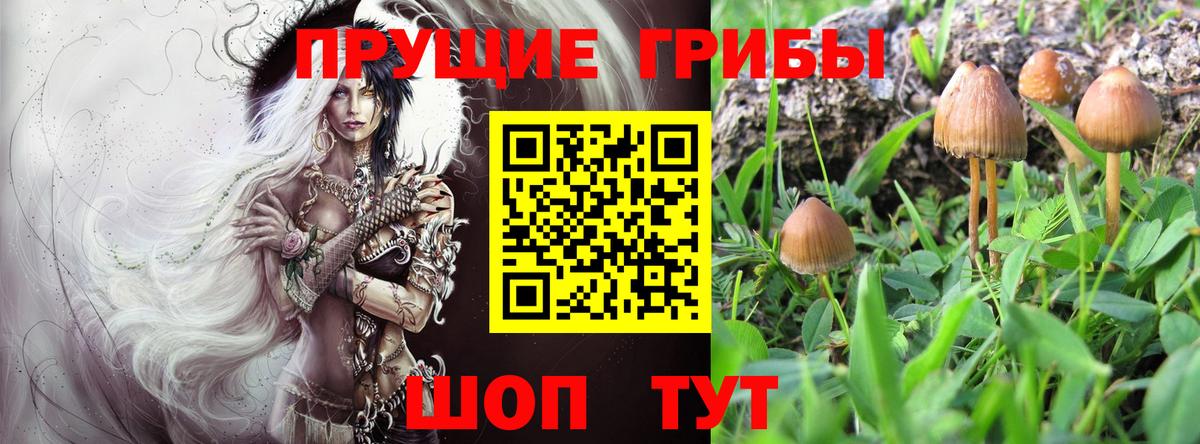 Псилоцибиновые грибы мухоморы  купить наркоту  Галлюциногенные грибы Magic Shrooms  Оренбург  Вход с VPN 